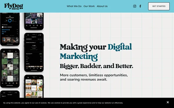 img of B2B Digital Marketing Agency - FlyDog Digital